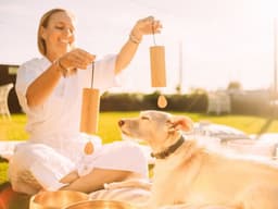 Doggie Sound Baths Are Obviously a Thing in 2023