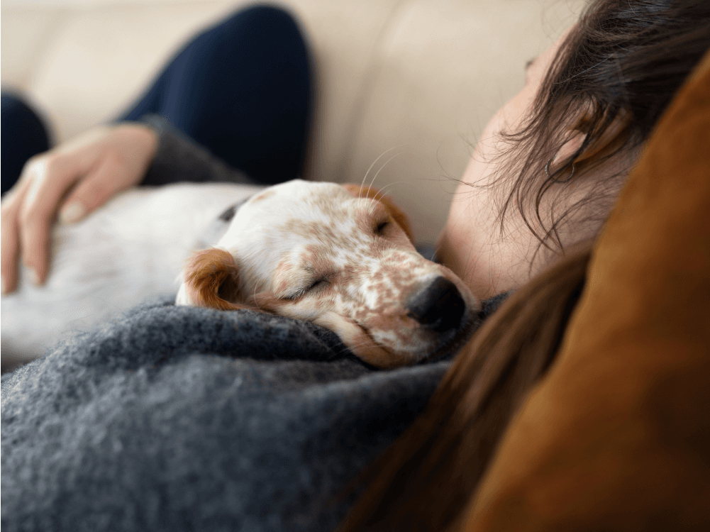 Discover How Your Pet Can Enhance Your Wellbeing With a Simple “Nudge”