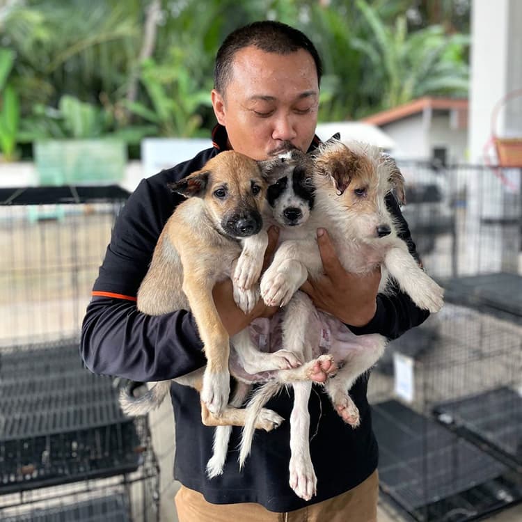 27 Dogs Were Flown to the US After Being Rescued From a South Korean Dog Meat Farm