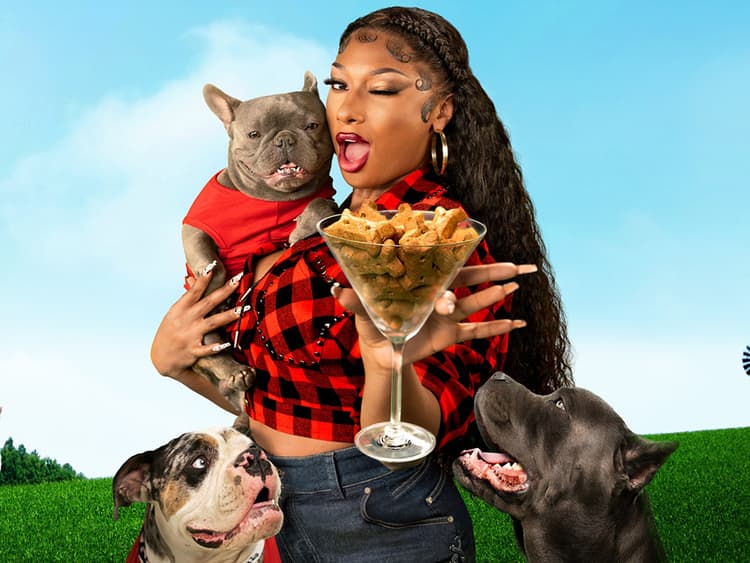 Megan Thee Stallion Shows Off Her Pet Parenting Skills in New Snapchat Series