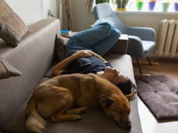 What Are the Effects of Sleeping With Your Dog in Bed?