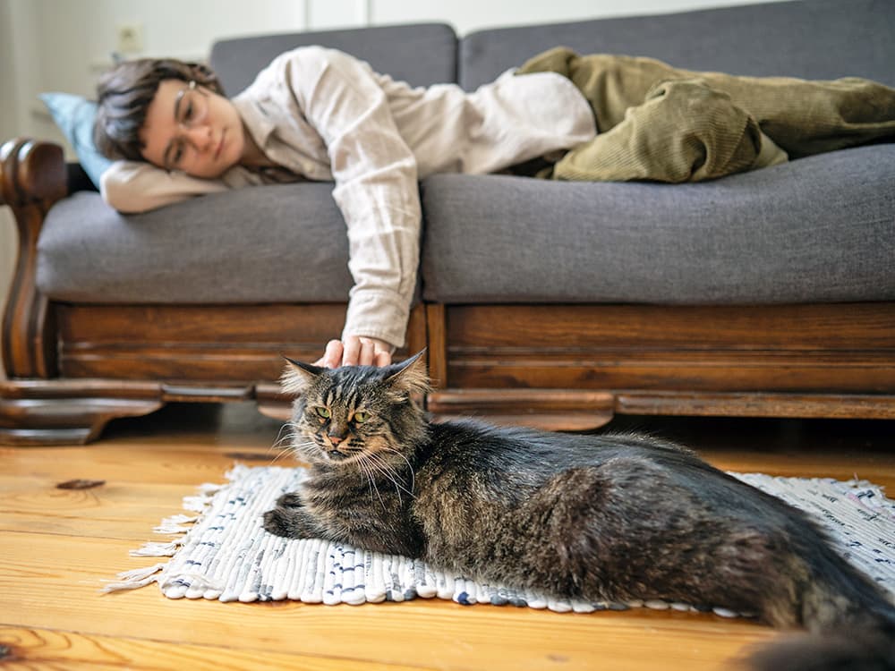 Warning Signs Your Cat Is Crying for Help: What to Watch For