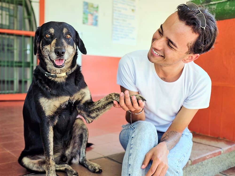 5 Reasons to Get Pet Insurance ASAP