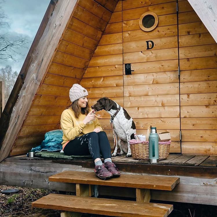 10 Best Dog-Friendly Hotels in the U.S. For Cozy Fall Getaways