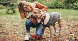 Is a Terrier Mix Right for You?