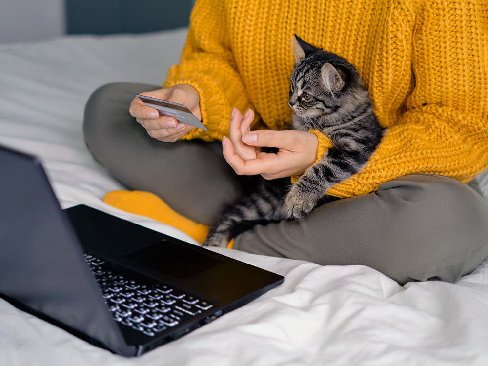 How to Get Help With Vet Bills for Pets Who Need Surgery