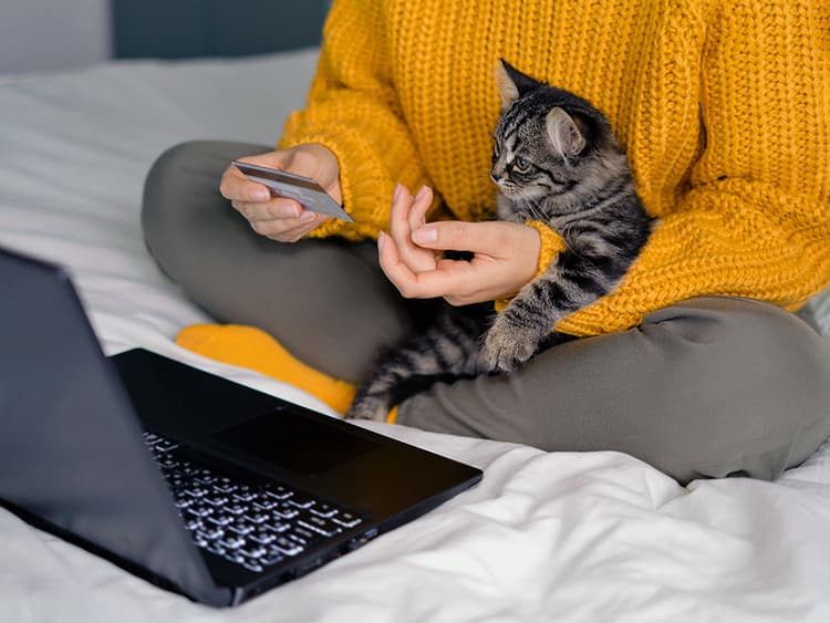 How to Get Help With Vet Bills for Pets Who Need Surgery