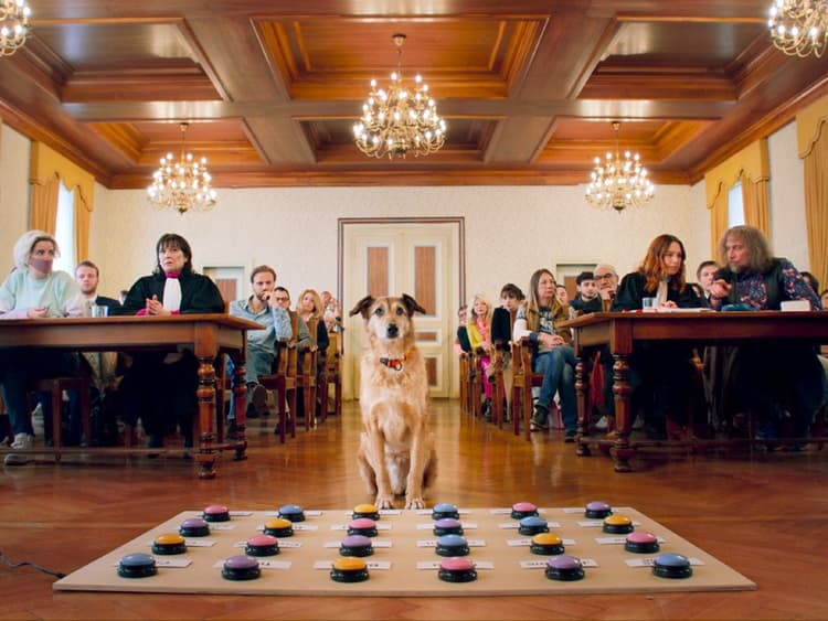 Kodi, the Charismatic Star of *Dog on Trial*, Wins Palm Dog at Cannes Film Festival