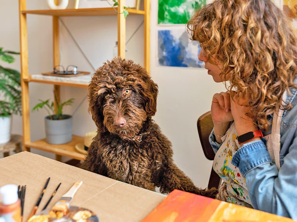 Dogs Are Creative Geniuses, Study Says