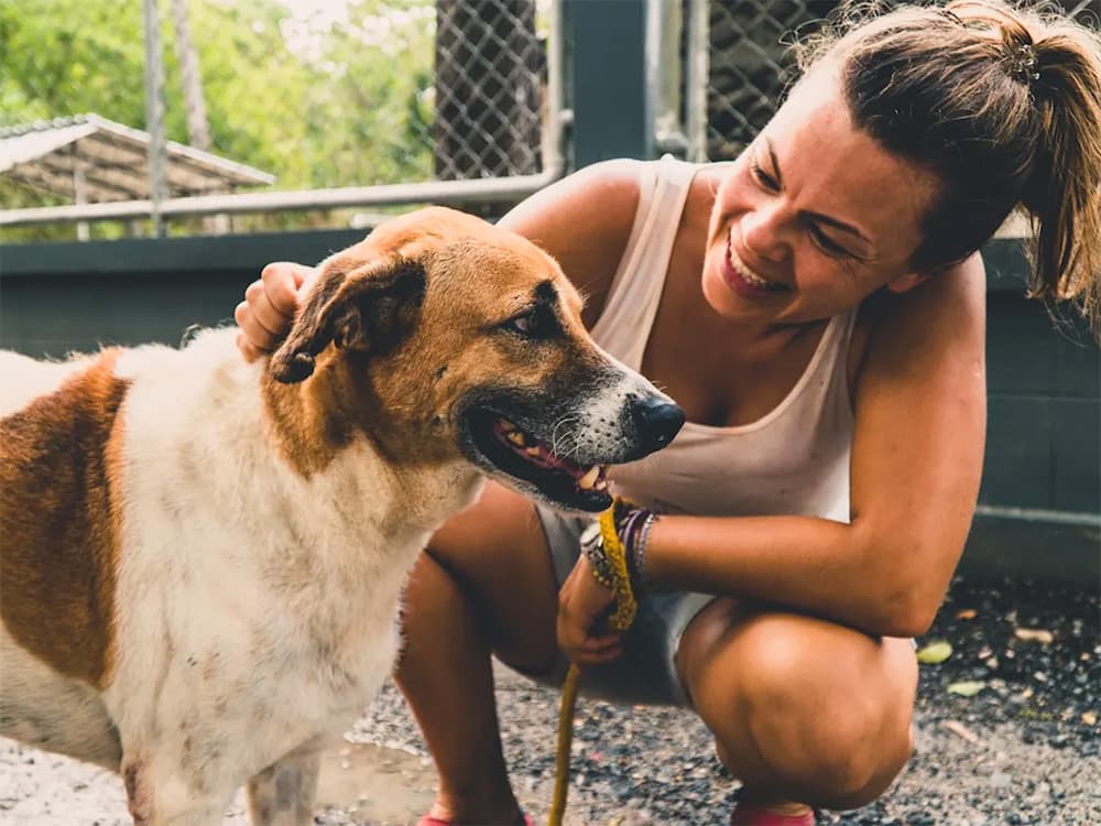 woman attending a dog to be adopted