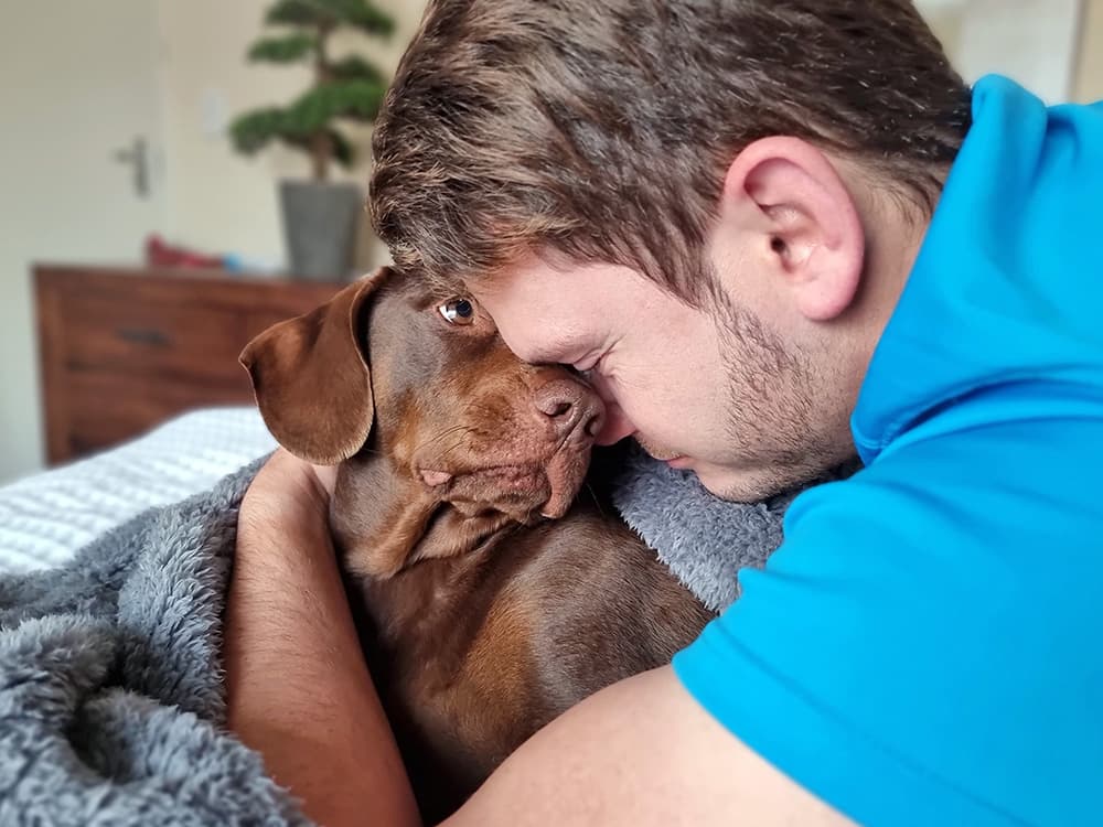 How Do Dogs See Humans? Their Perspective, Explained
