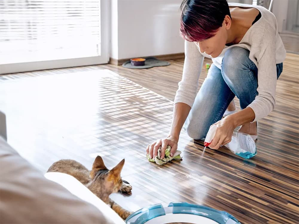 woman cleaning up after cat
