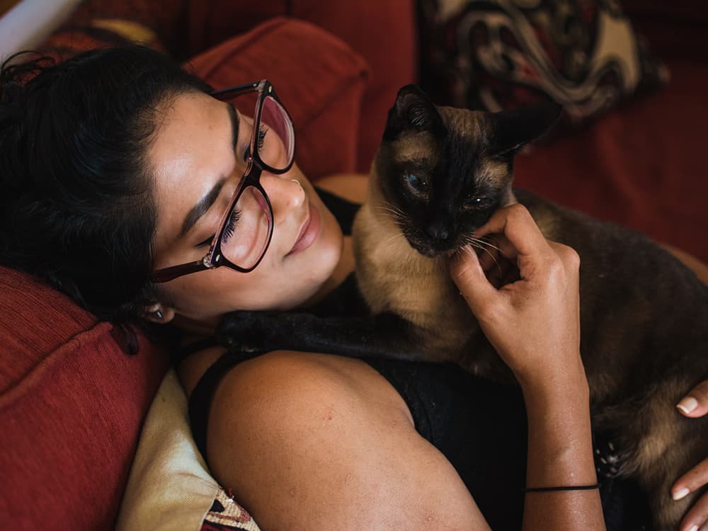 A Cat Could Be Your New On-Campus Counselor
