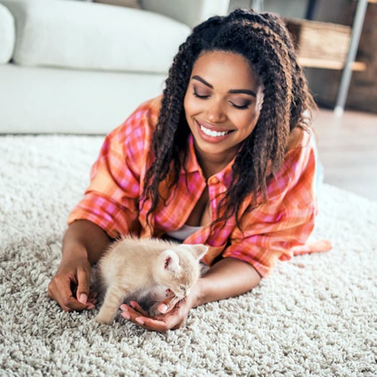 How to Train a Kitten Not to Bite