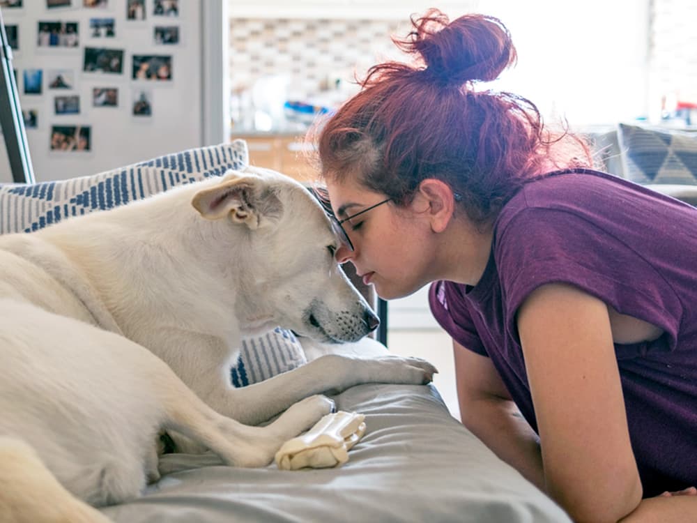 Pets Are Better at Grief Support Than People, Study Says