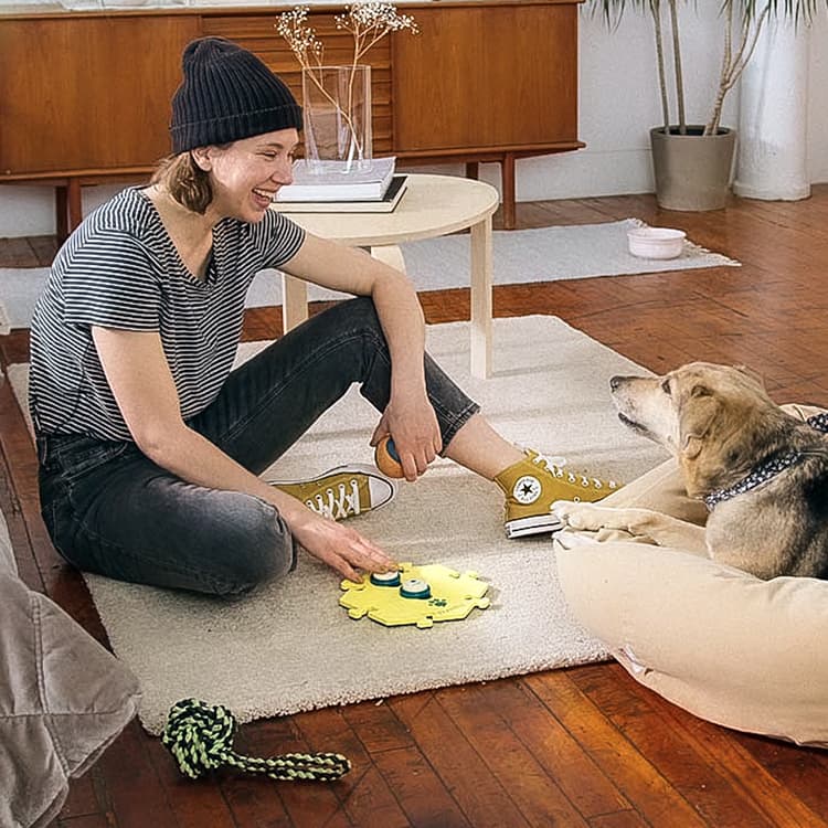 Dogs Really Do Understand Speech Buttons, New Study Finds