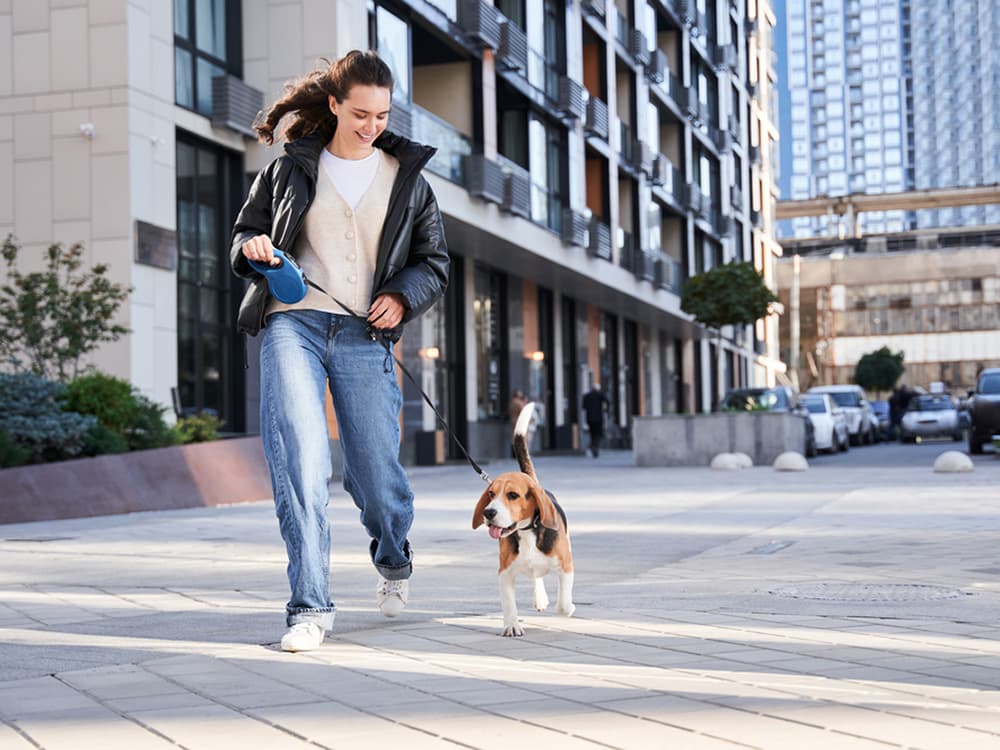 How to Test the Waters of Pet Parenthood