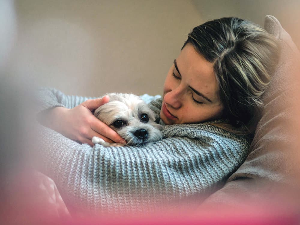 What to Do if Your Dog Has an Upset Stomach