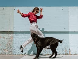 Big Fish: The Best Omega-3 Supplements for Dogs (And Why They Need Them)