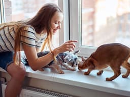 Have a Cat But Want a Dog, Too? Here’s How to Make It Work