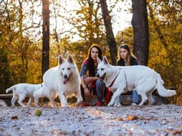 13 Common Dog Behavior Myths Overheard at Dog Parks