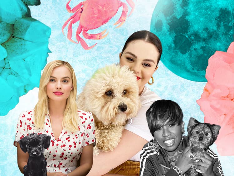 Cancer Season 2024 Is for Emotional Animals