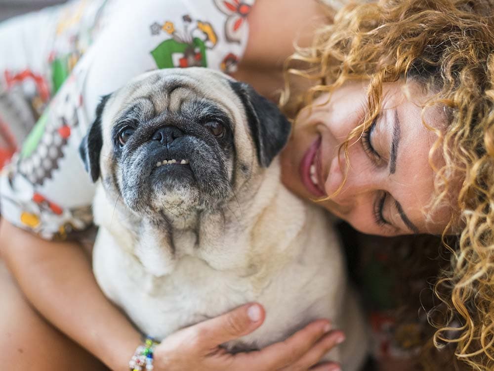 How to Care For Your Older Dog