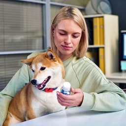 Can I Give My Dog Pain Medication?