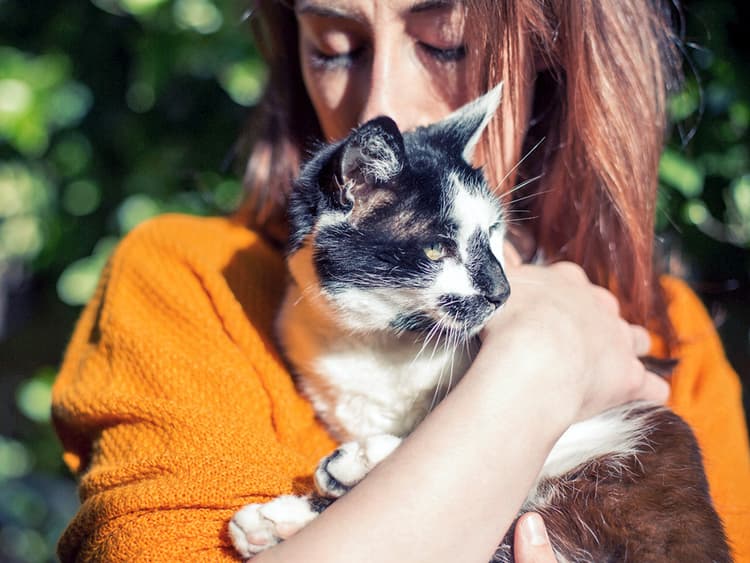 9 Fun Facts You May Not Know About Cats