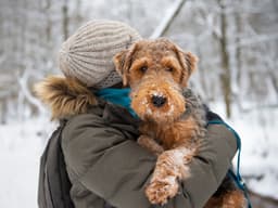 How to Keep Your Dog Safe in Severe Winter Weather