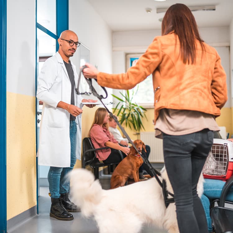 I Freaked Out at the Emergency Vet So You Don’t Have To