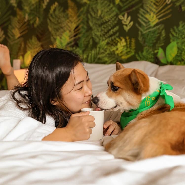 Sustainable Pet Parenting Can Be Stressful. Here’s How to Deal