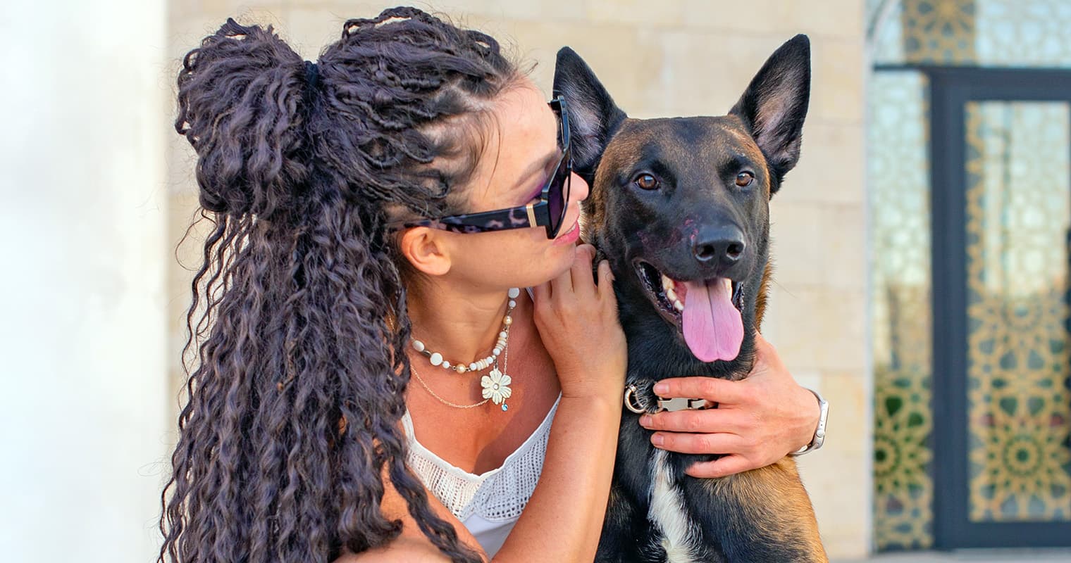 When You Can’t Keep Your Belgian Malinois: A Guide to Rehoming
