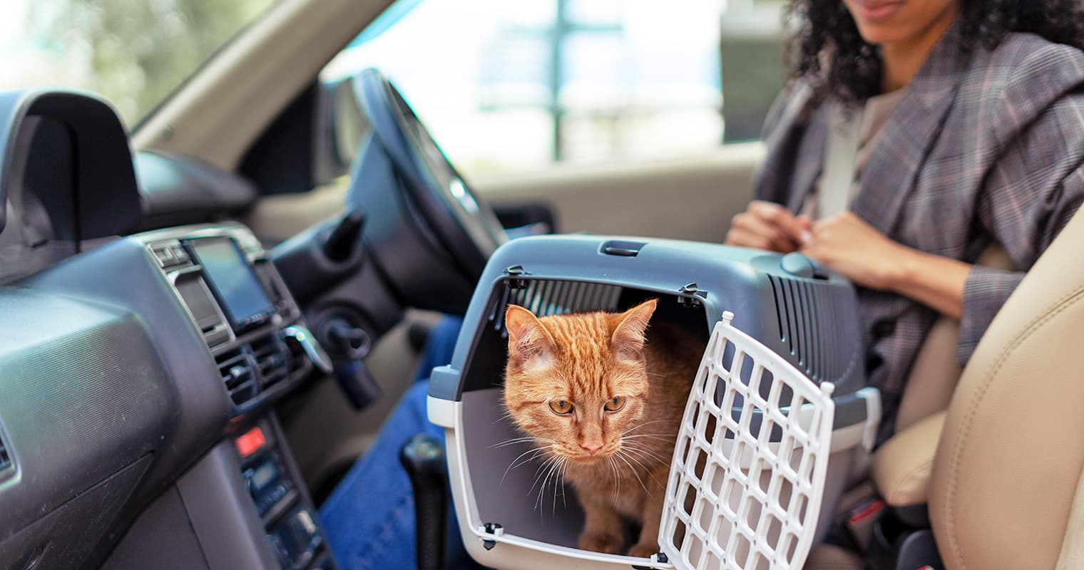 National Preparedness Month: Emergency Tips Every Pet Parent Should Know