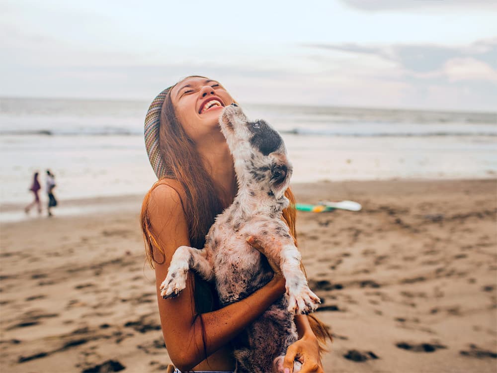 What Are the “Dog Days of Summer?”