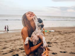 What Are the “Dog Days of Summer?”