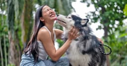 Why Does My Dog Lick Me So Much?