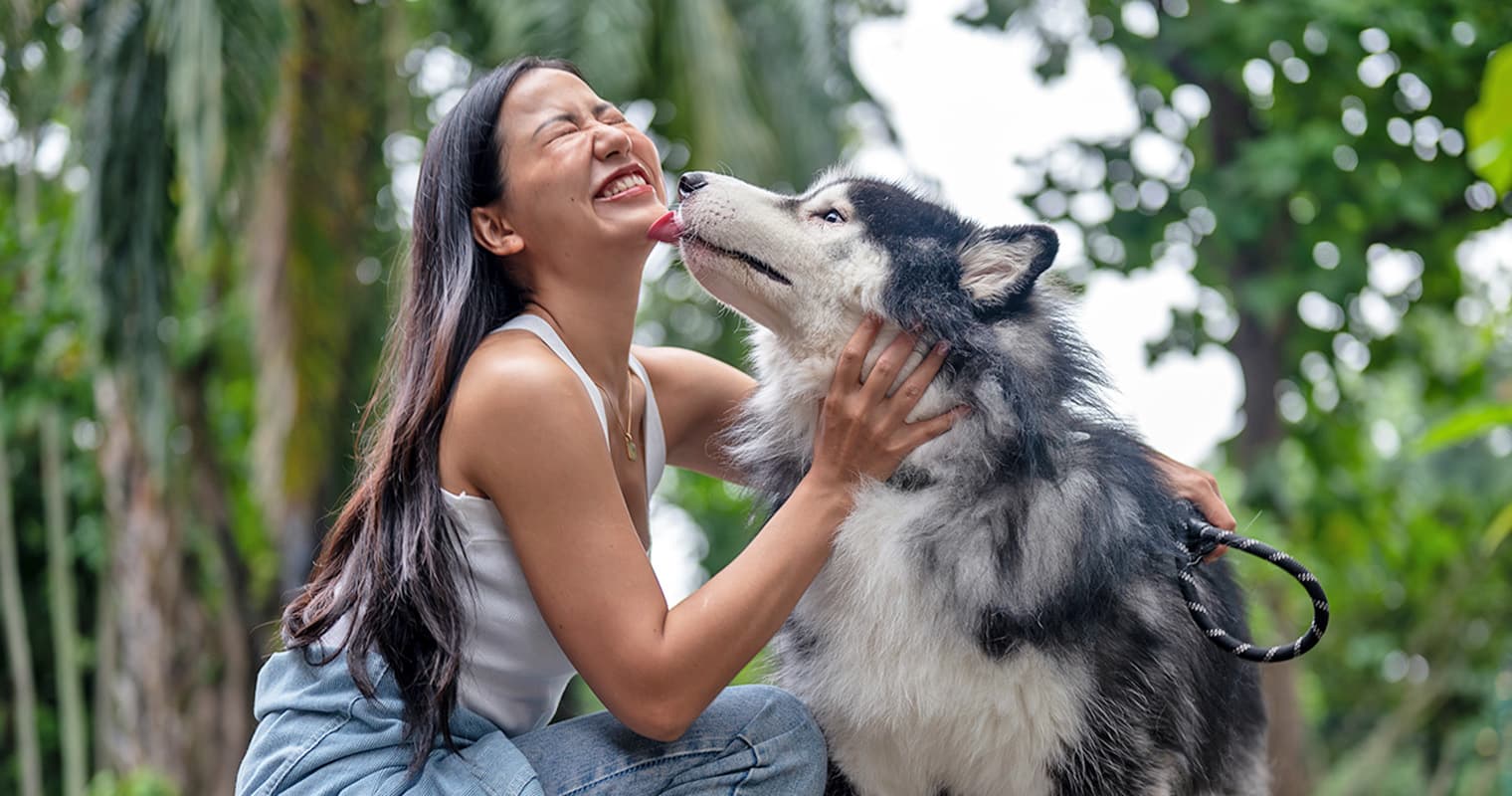 Why Does My Dog Lick Me So Much?