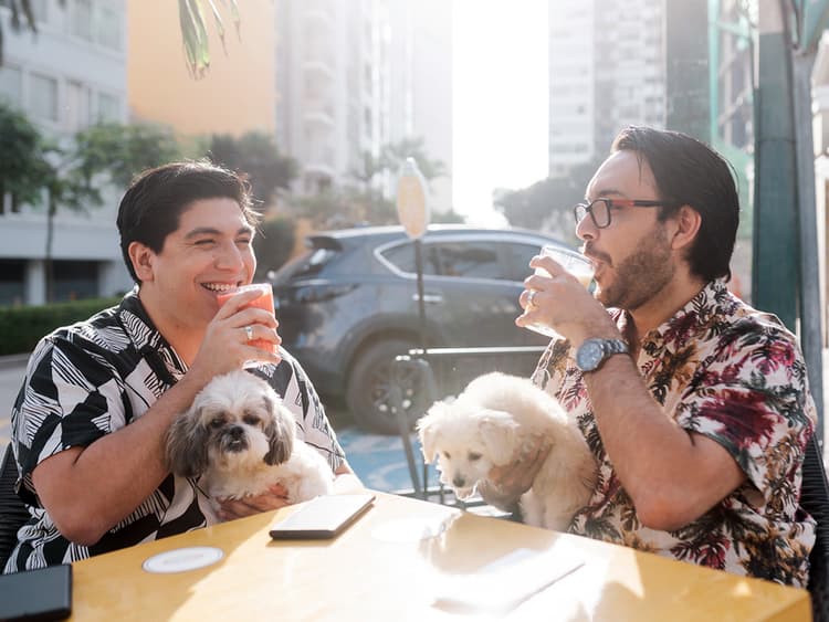 The 10 Most Dog-Friendly Cities in the US to Take Your Pup This Summer