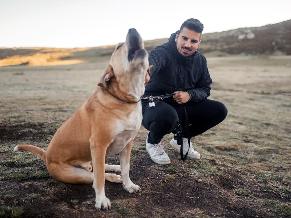 Getting Ads for Anti-Barking Devices? Here’s Why You Shouldn’t Buy One