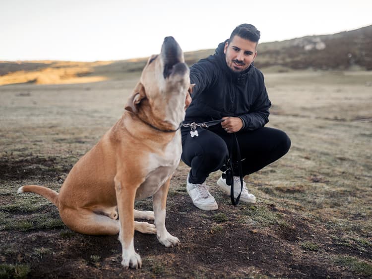 Getting Ads for Anti-Barking Devices? Here’s Why You Shouldn’t Buy One