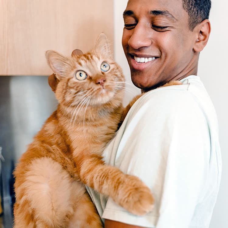 How to Reinforce the Bond With Your Cat
