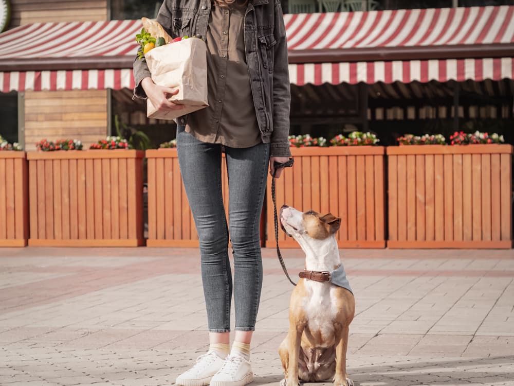 3 Ways to Make Sure Your Pet Food Packaging Actually Gets Recycled