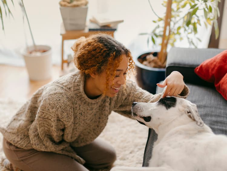 How You Talk About Your Dog Matters