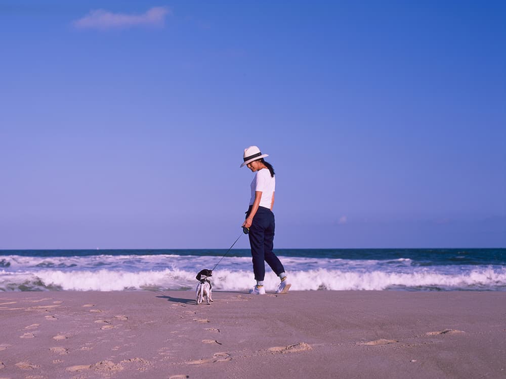 The Top 20 Dog-Friendly Cities