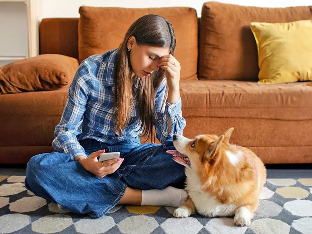 pet parents struggling with vet bills