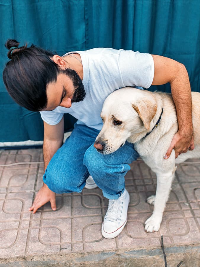 My Dog Has Diarrhea but Is Acting Fine: What to Know