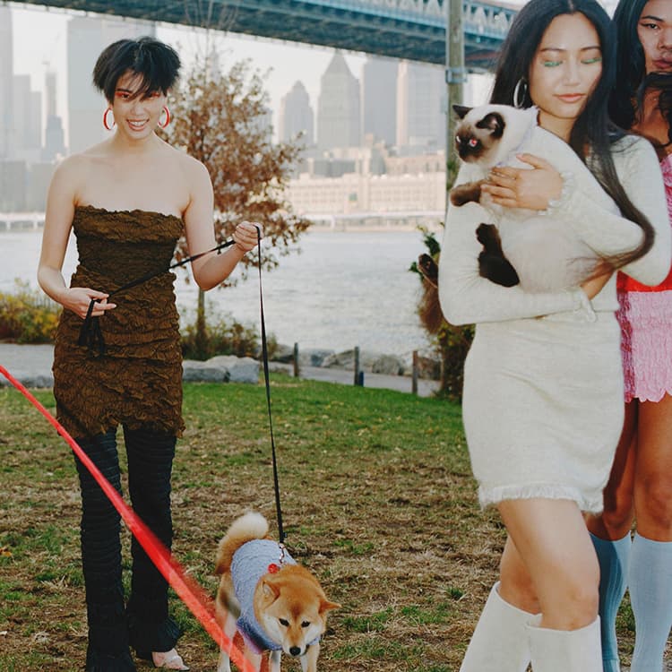 Important: Gauntlett Cheng Once Had a Very Versatile Cat Model Their Dog Clothes