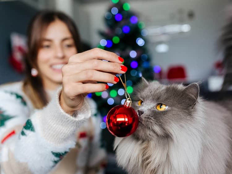 How to Stop Your Cat From Using Your Holiday Decorations to Torture You