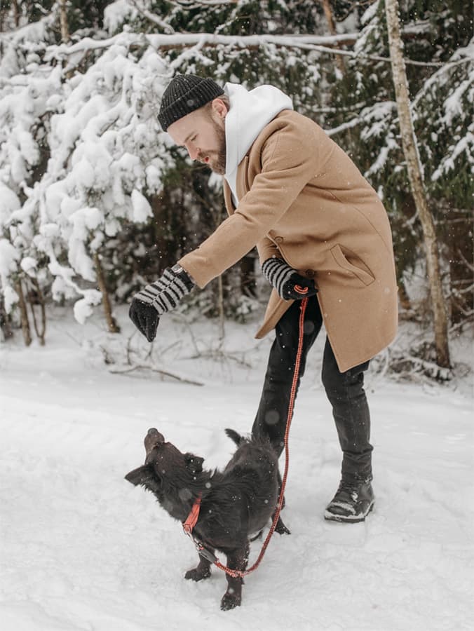 Why Some Dogs Are Not Adept At Leash Untangling